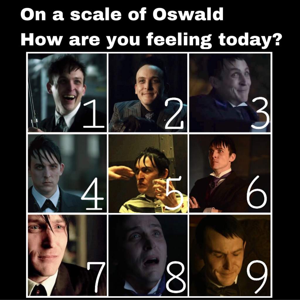 How Are You Feeling Today Gotham Amino