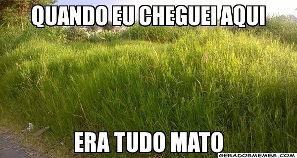 Depois de muito tempo fora do amino,eu voltei. to confuso com as novidades  kkkkk | Otanix Amino