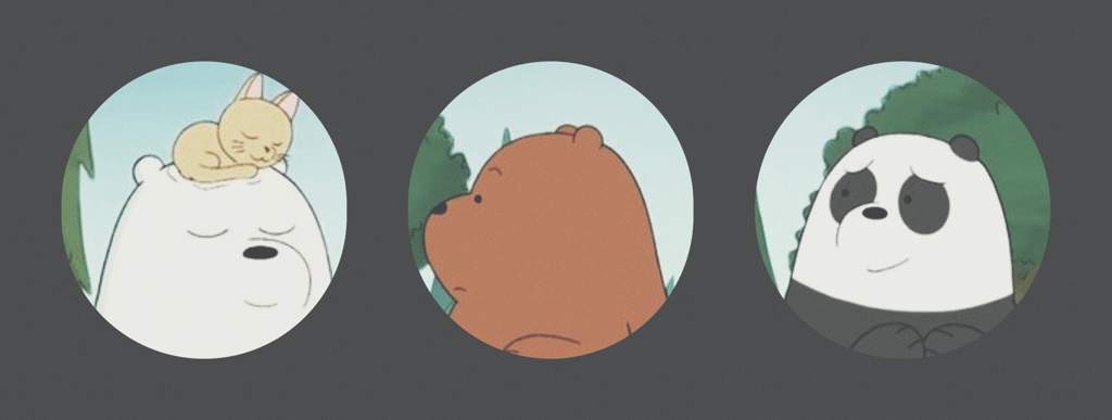 we bare bears matching profiles !¡ | Templates and stuff Amino