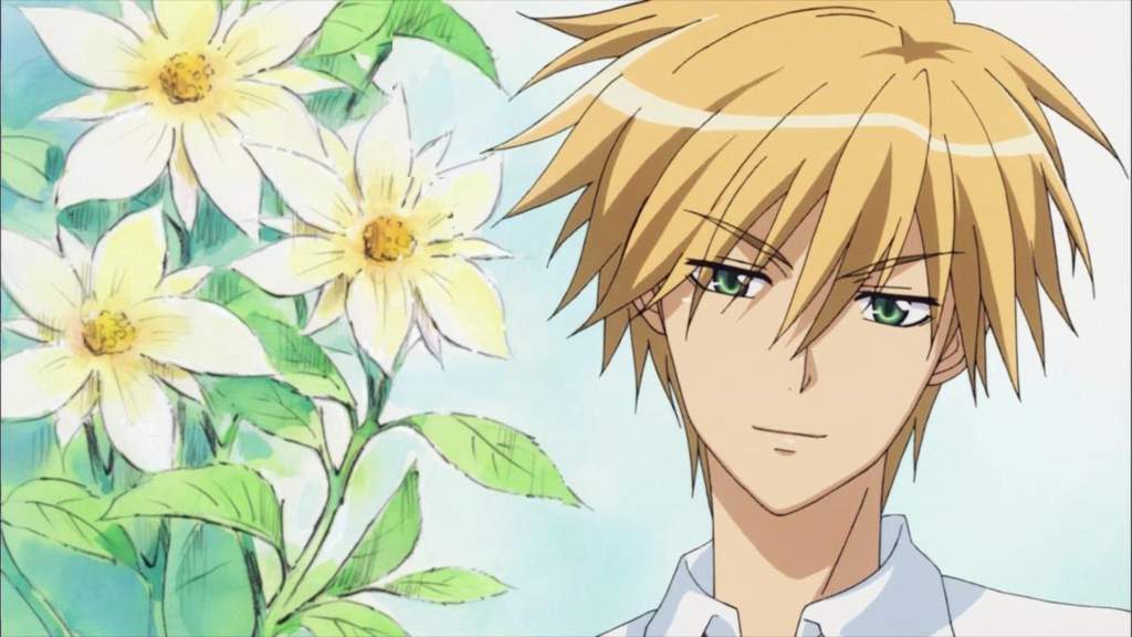 Husbando Profile - Usui Takumi | Anime Amino