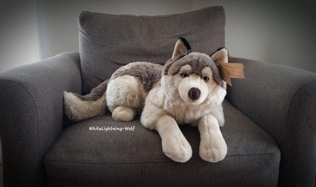 cheap wolf plush