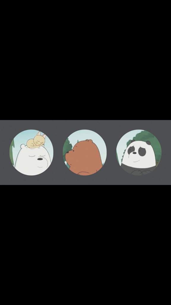 we bare bears matching profiles !¡ | Templates and stuff Amino