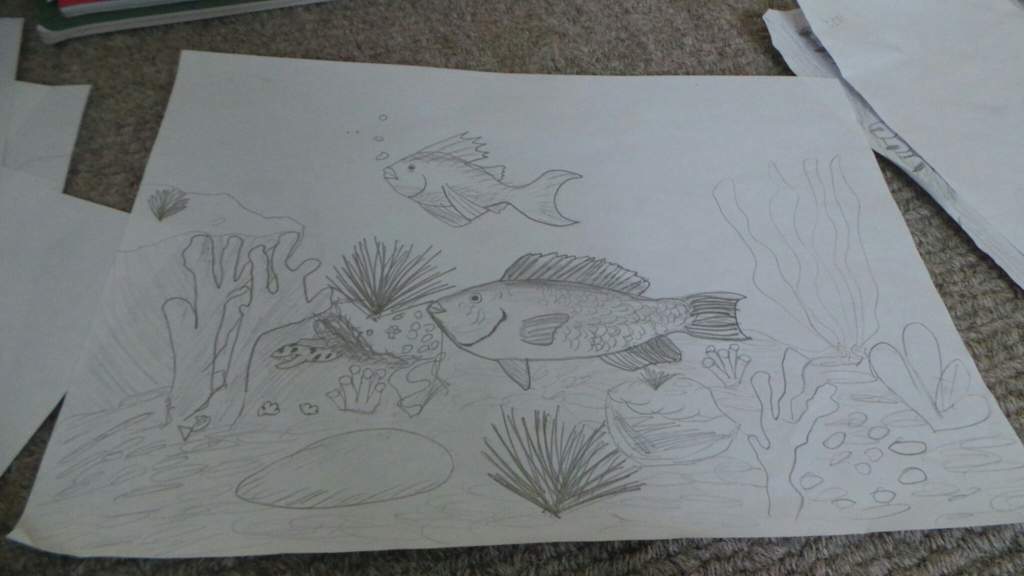 My Best Fish Aquarium Drawing Kittens And Puppy S Amino Amino