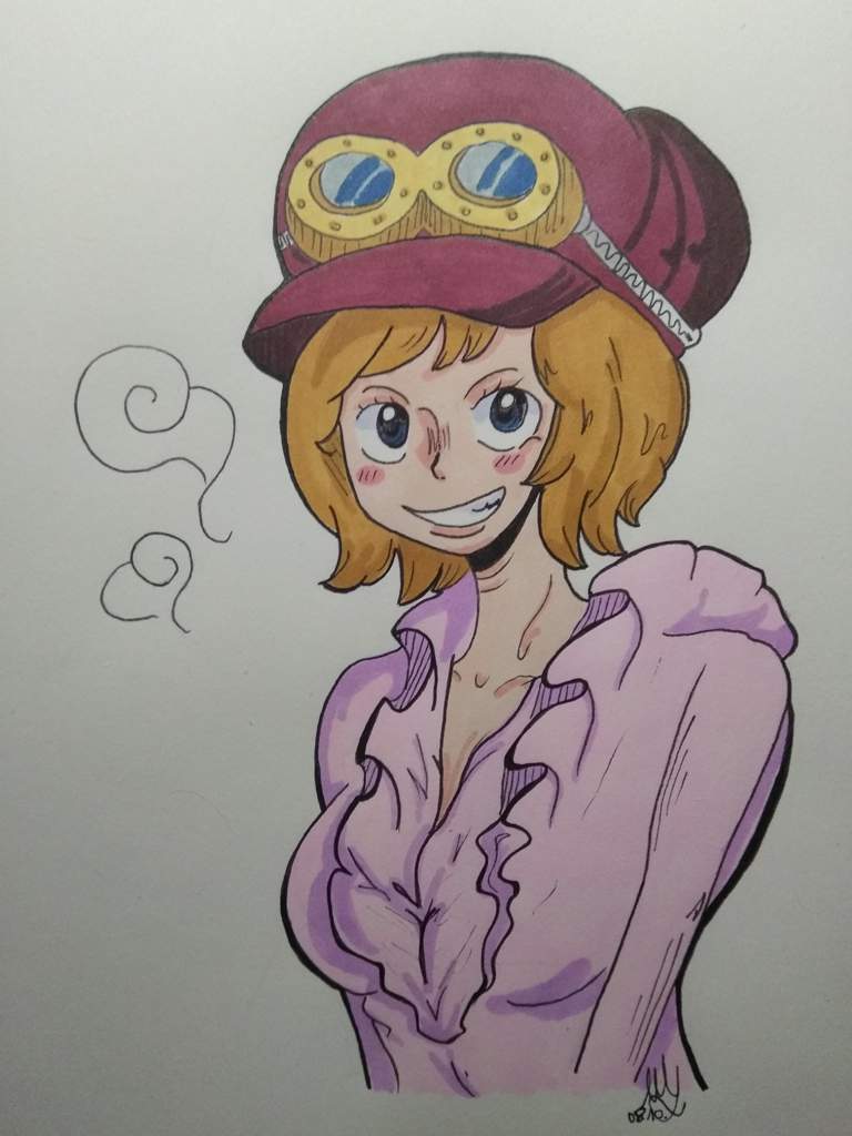 Koala One Piece Amino