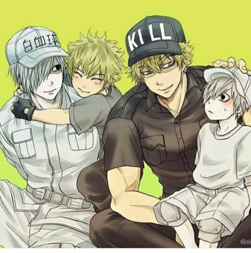 Cancer Cell Cells At Work Hataraku Saibou Amino