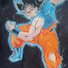 amino-goku121-0d578b20