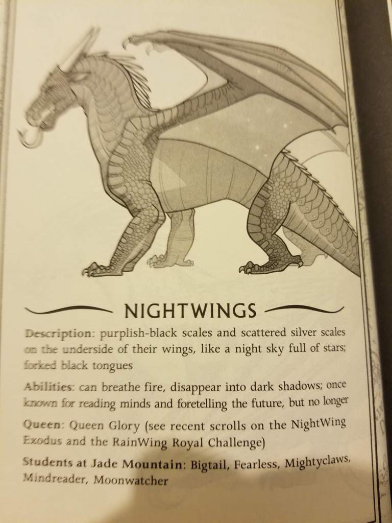 wof guide Wiki Wings Of Fire Amino wof guide Wiki Wings Of Fire Amino