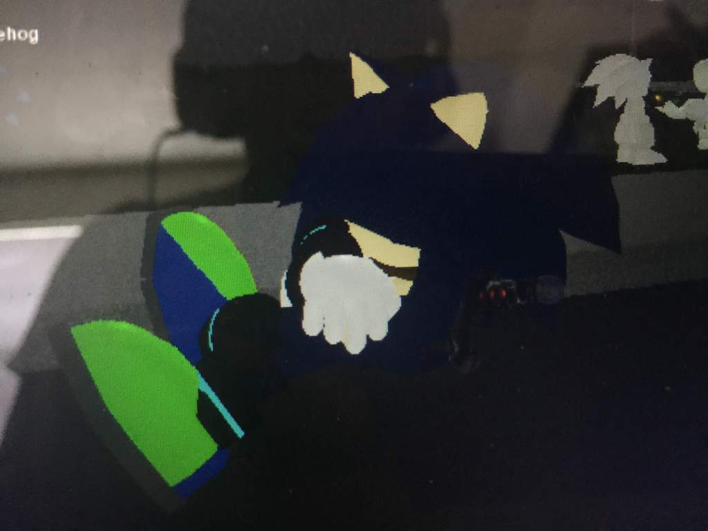 sean hedgehog