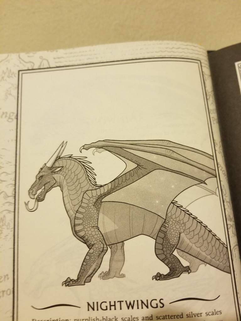 wof guide Wiki Wings Of Fire Amino wof guide Wiki Wings Of Fire Amino
