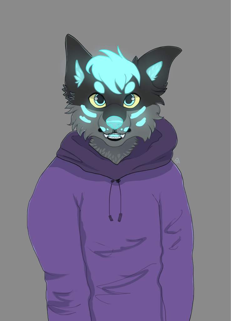 furry in hoodie