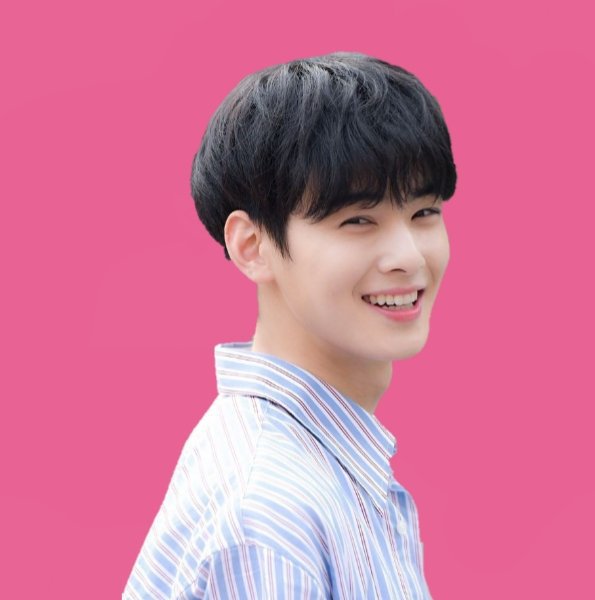 Cha eun woo | Wiki | الدراما الكورية 🇰🇷 Amino