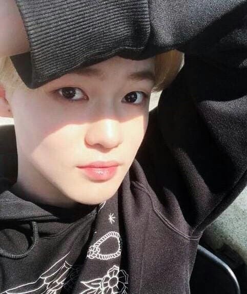 Zhong Chenle☆ | Wiki | Entertainment Company Amino