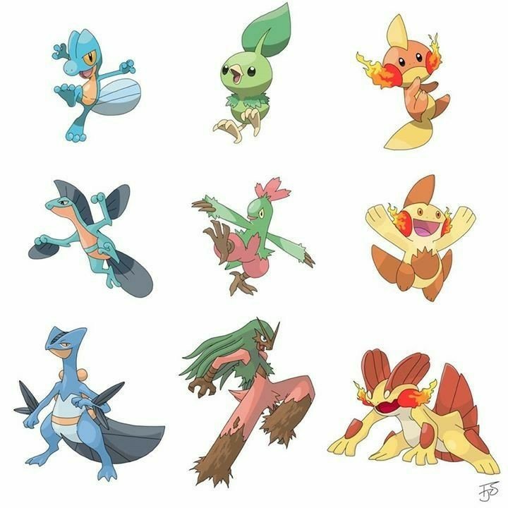 Starter Pokemon-Type Variants | Pokémon Amino