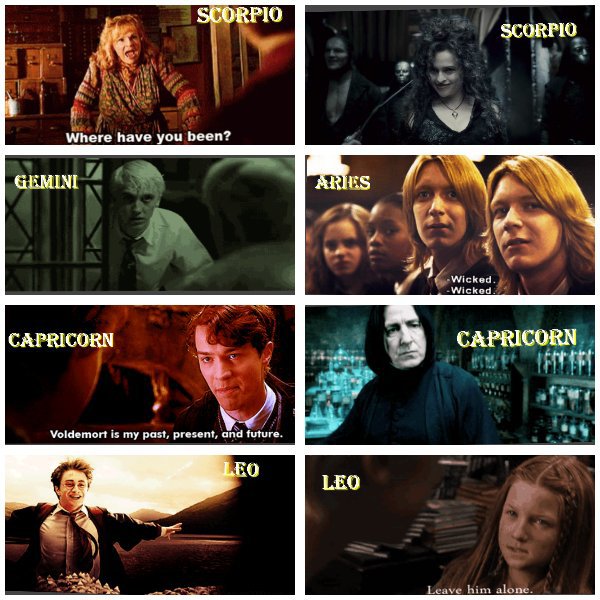 Zodiac Signs Of Harry Potter Characters Harry Potter Amino