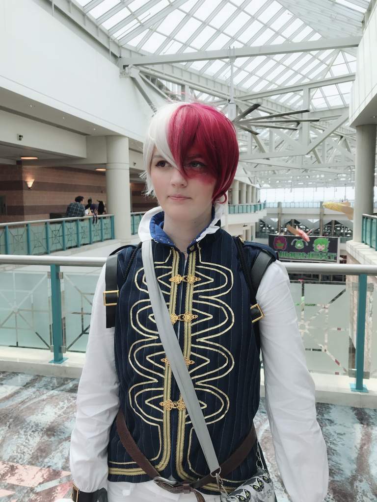 todoroki fantasy cosplay