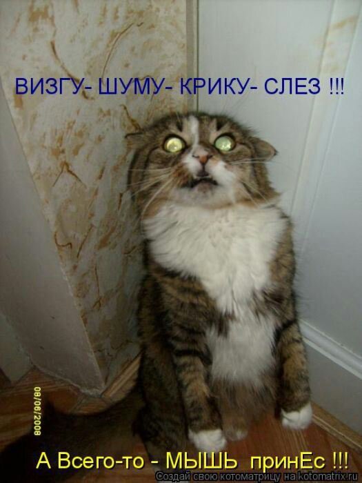 Приколы на картинках с животными до слез