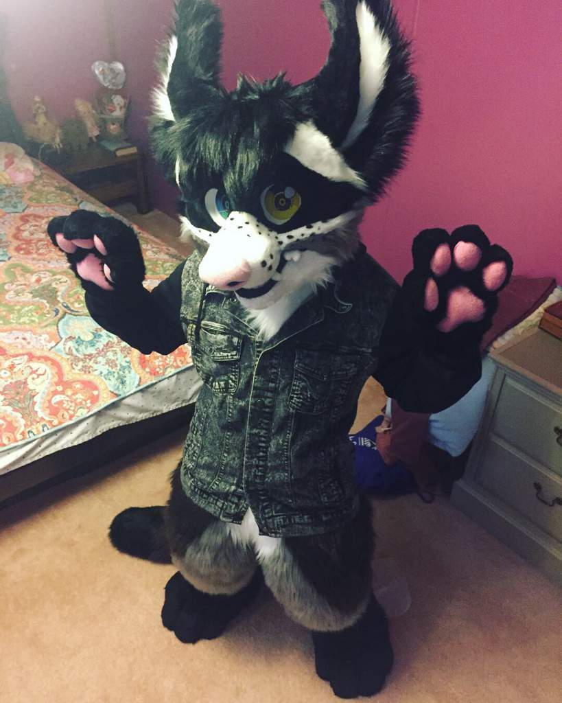 Fursuit Friday With Kyle! | Furry Amino