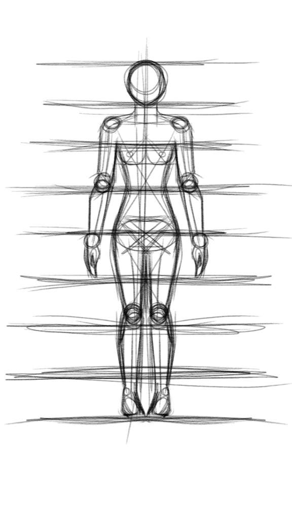 human anatomy sketch