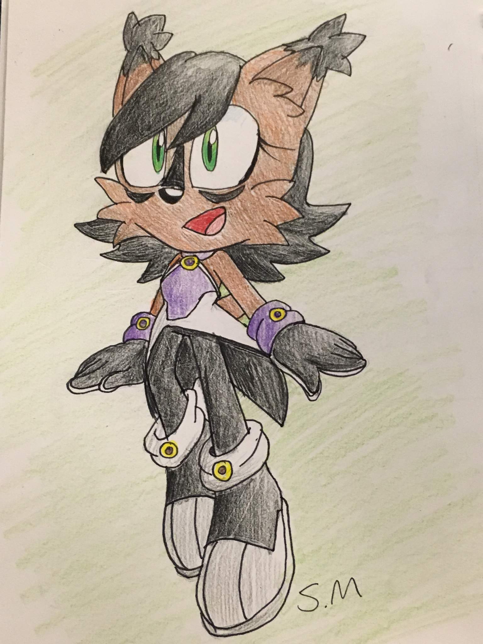 NICOLE | Sonic the Hedgehog! Amino