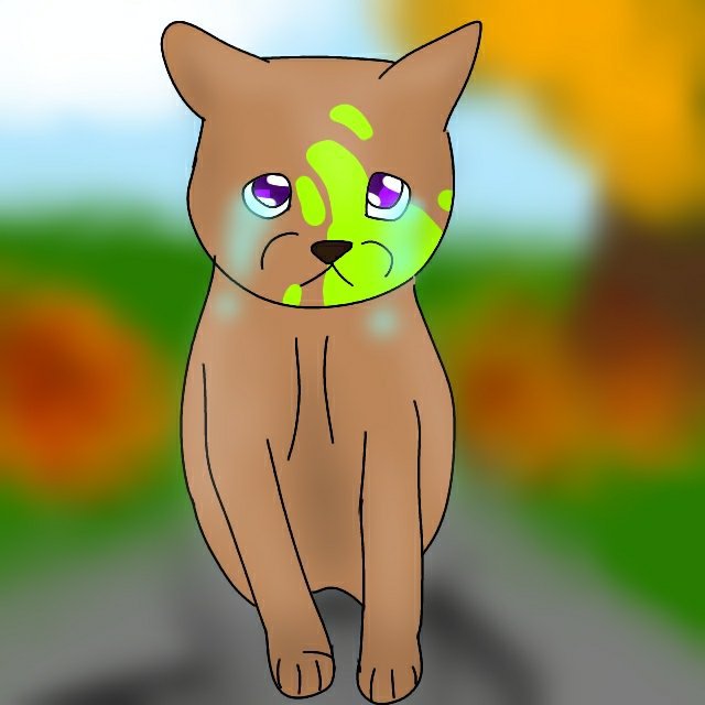 Leafstar | Wiki | Warriors Amino