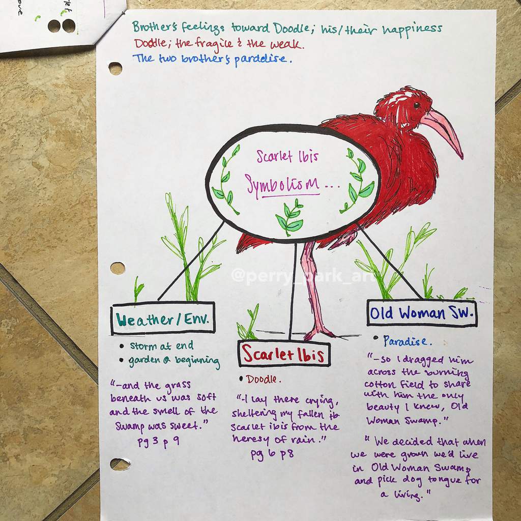 the scarlet ibis plot summary