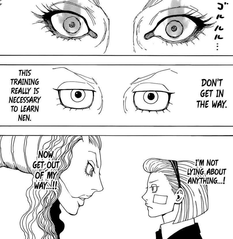 Chapter 384 Overview Spoilers Hunter X Hunter Amino