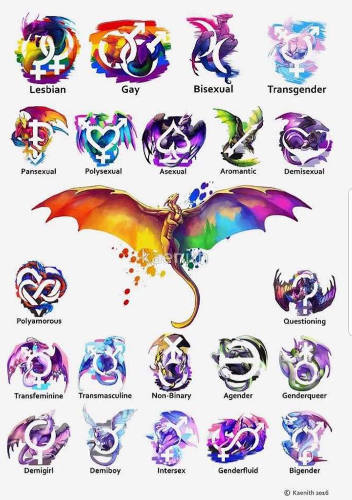 dragon gay Dragon Gay