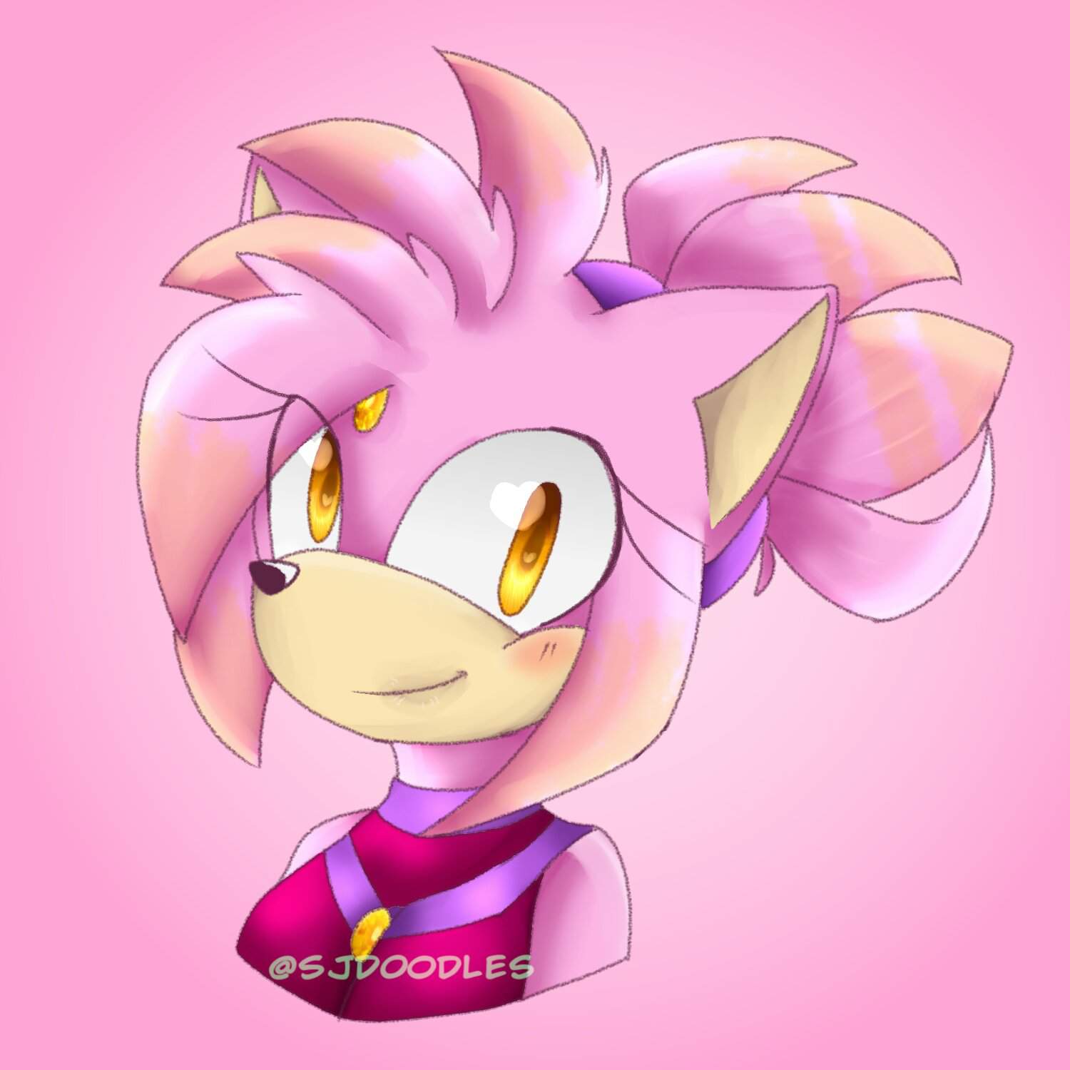 Amber the Hedgecat | Sonic the Hedgehog! Amino