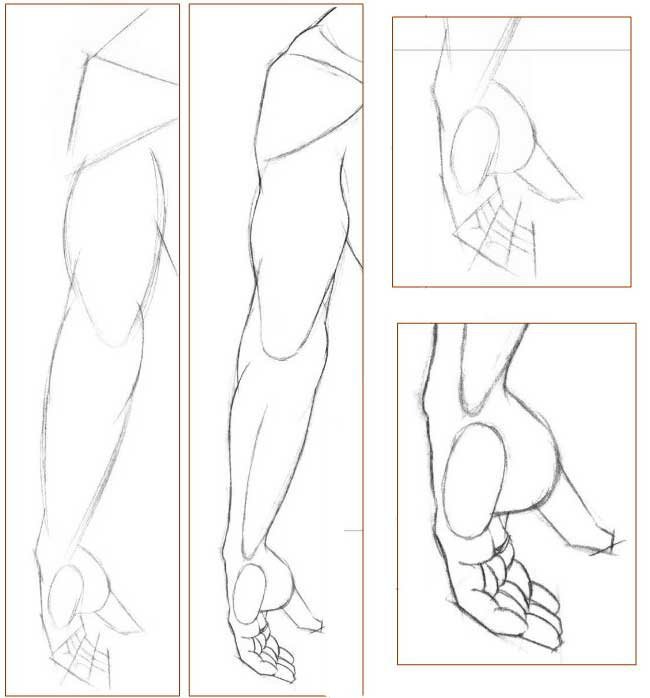 Рисовать карандашом руку человека поэтапно карандашом