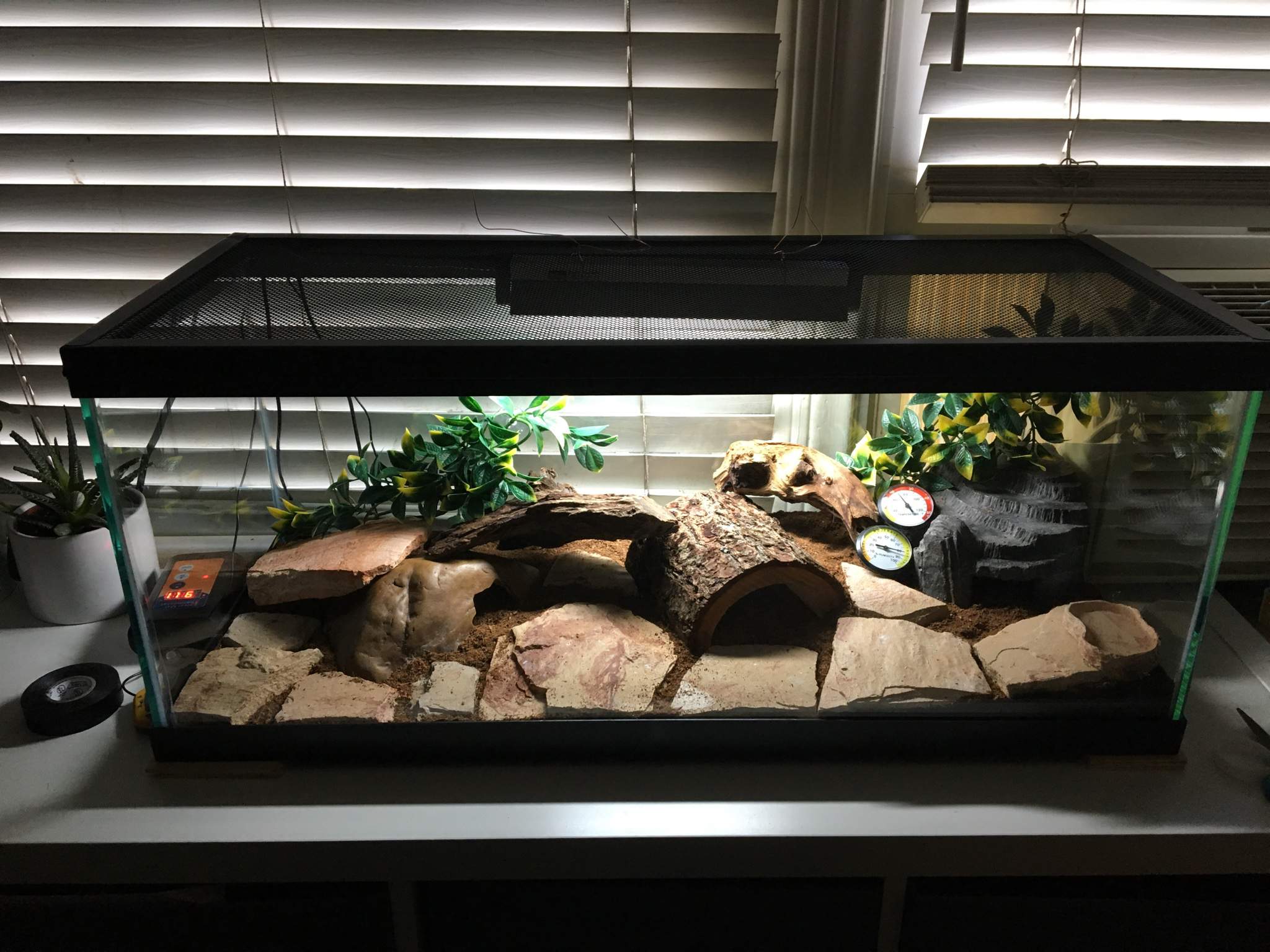 My new 20 gallon!!! | Reptiles Amino