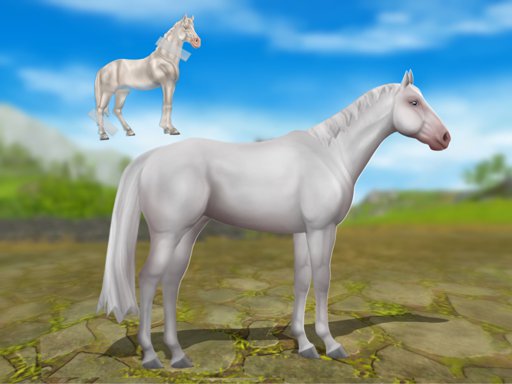 The Paso Fino | Star Stable Online Amino