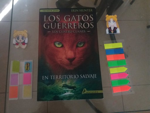 Gatos Libros Amino - 