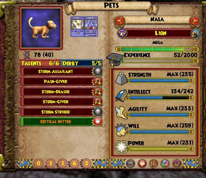 Wolf's Storm Pets Wiki Wizard101 Hatchery Amino