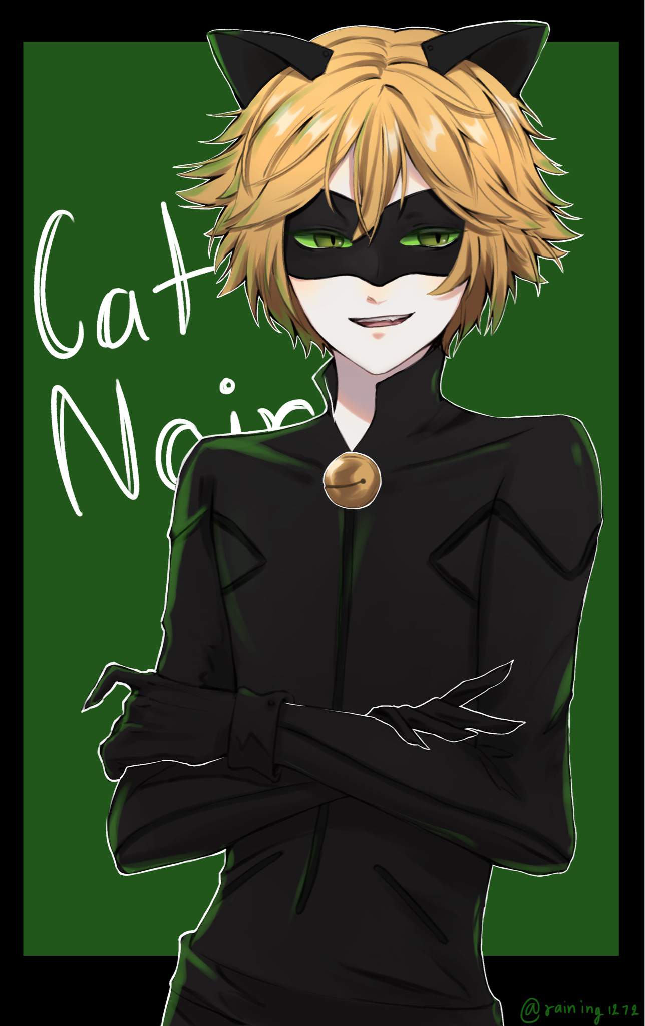 Cat Noir | Miraculous Amino