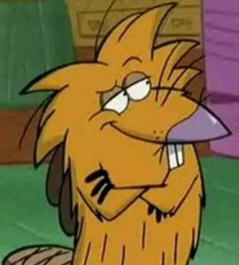 Norbert Beaver | Wiki | Angry Beavers Amino