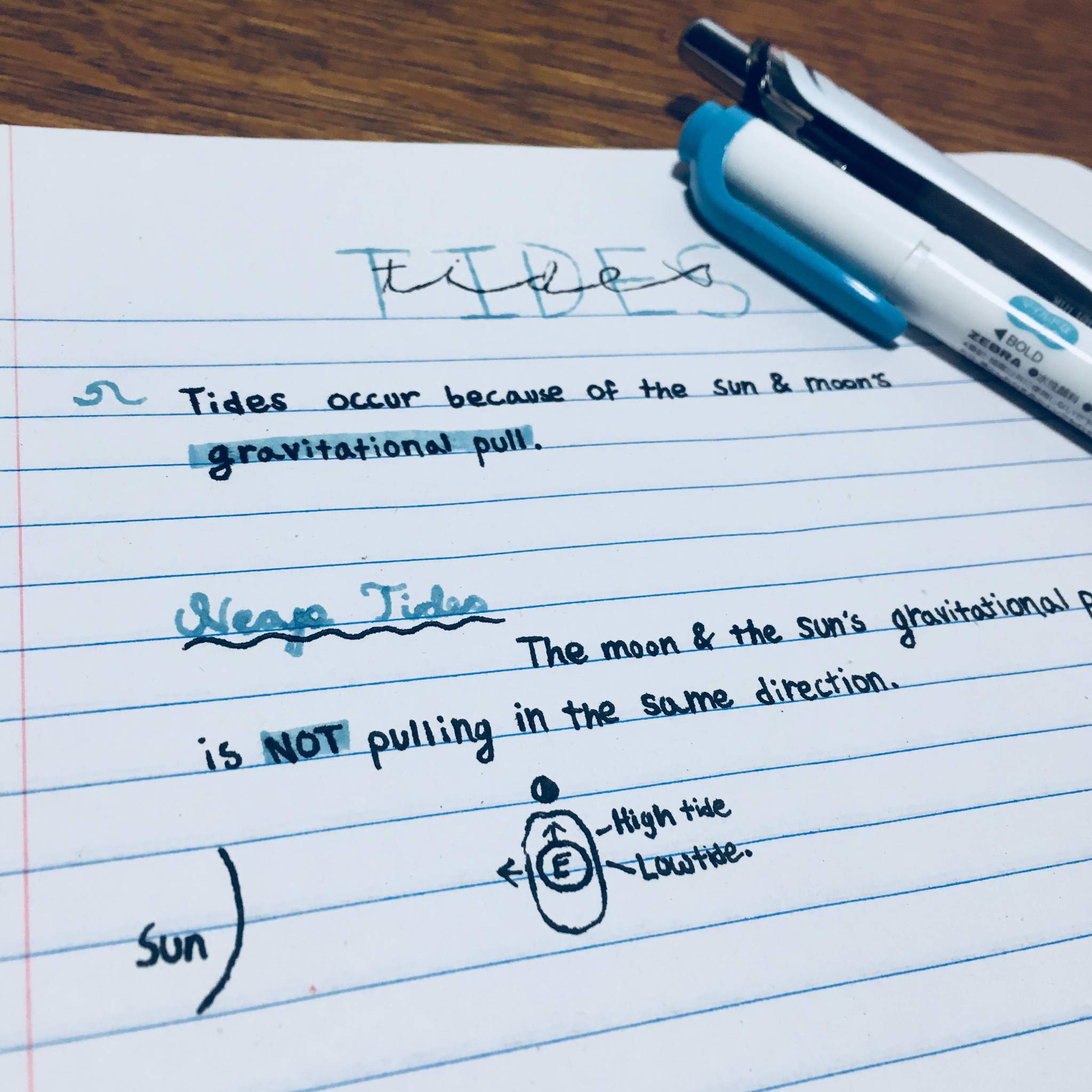 8th Grade Science Tides Worksheet