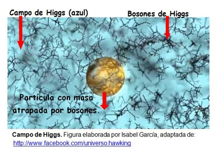 Resultado de imagen para campos de higgs