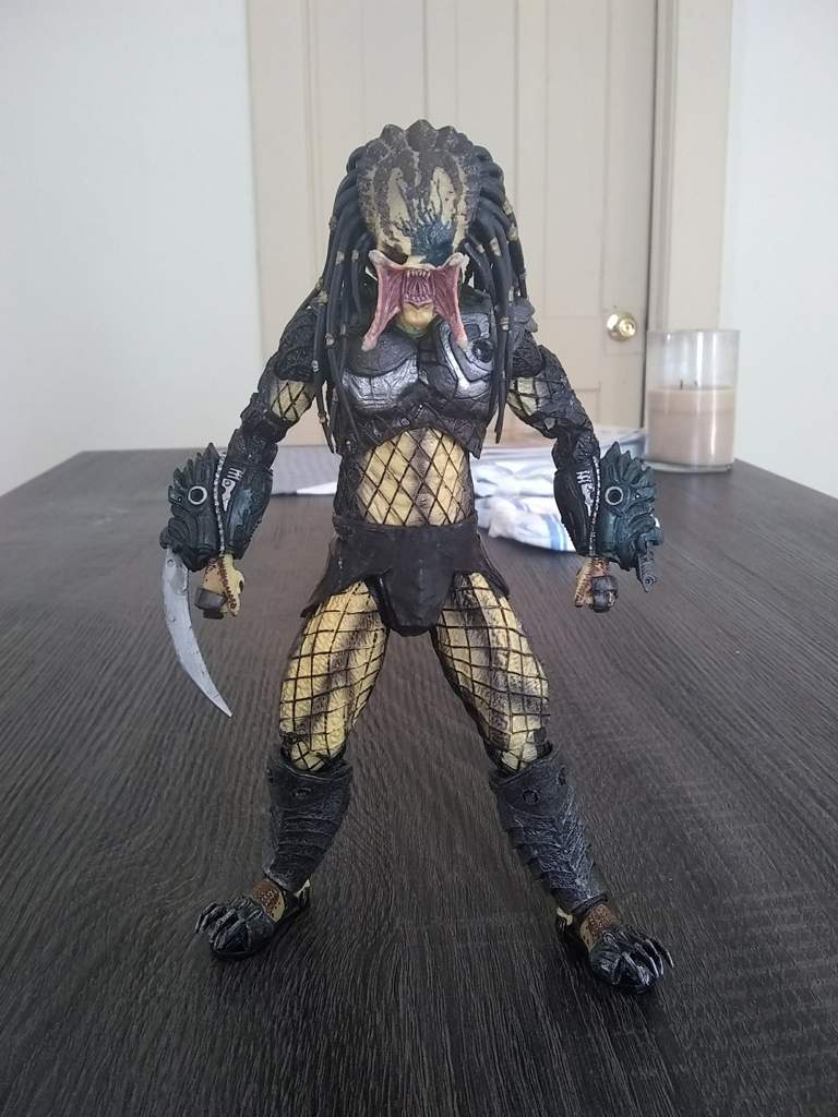 neca custom