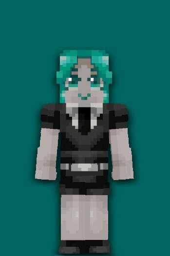 all minecraft skins you have had