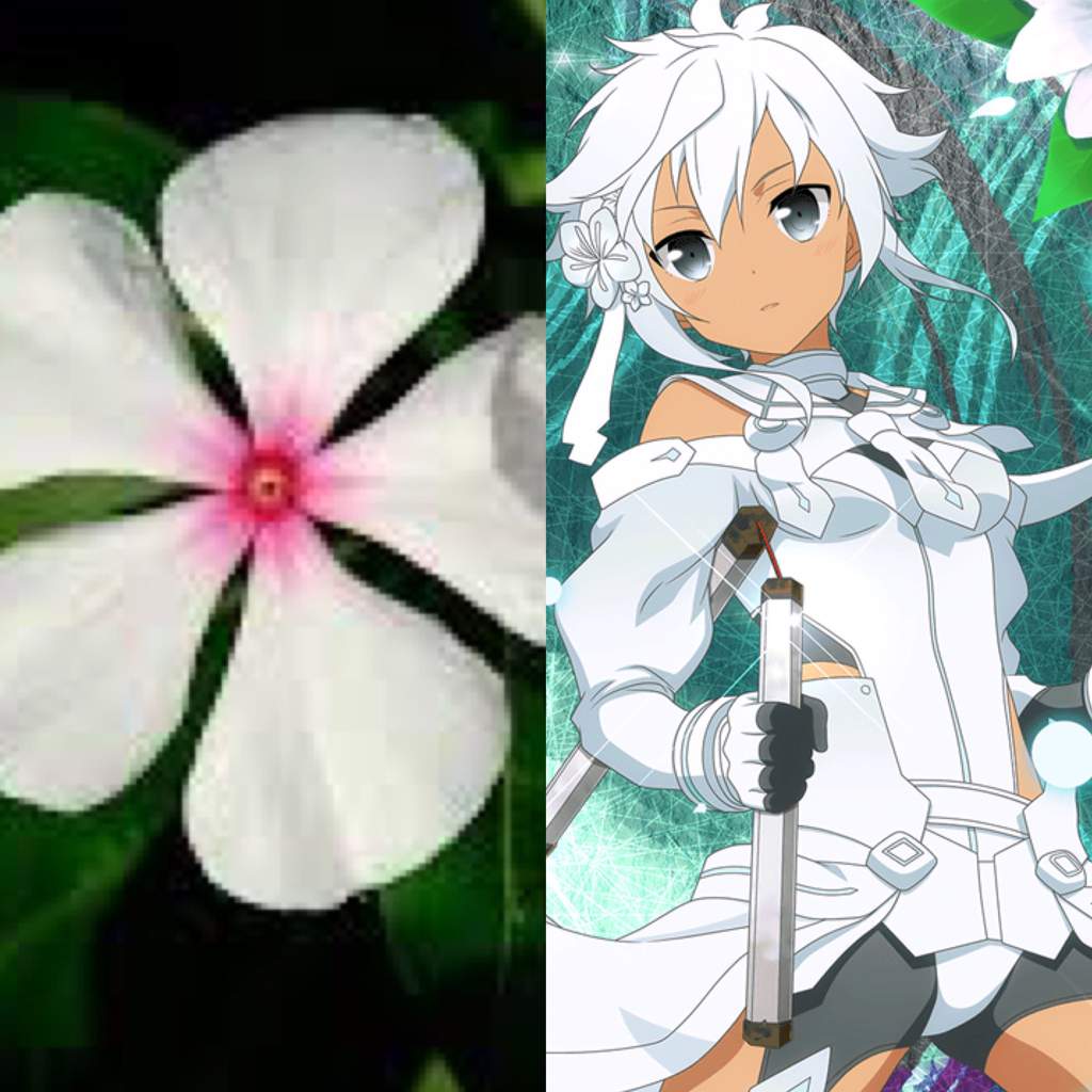 Yuyuyu Flower Motifs Yuki Yuna Is A Hero Amino