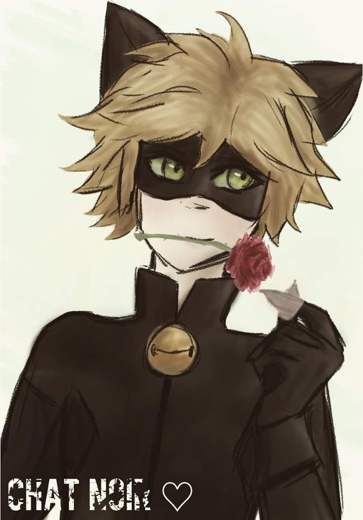 Chat Noir Fanart Miraculous Amino