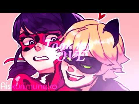 LadyNoir | Wiki | 🌸Princess Sakura Serenity🌸 Amino