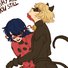 amino-Ladybug and chat noir-c85302b9