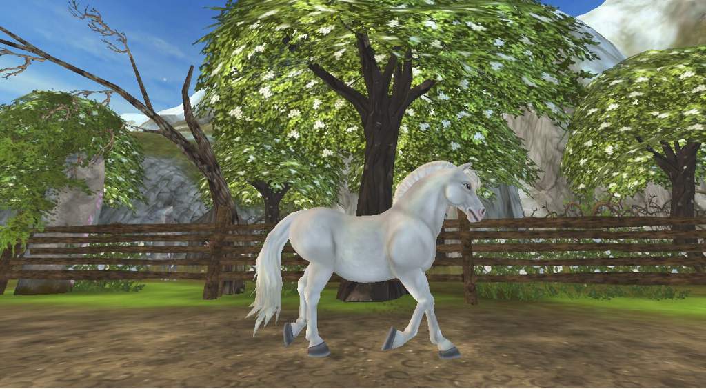 New Fjord Vs Old Fjord | Star Stable Online Amino