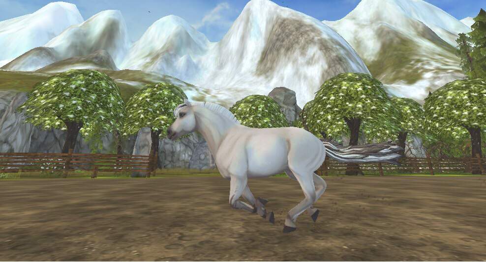 New Fjord Vs Old Fjord | Star Stable Online Amino