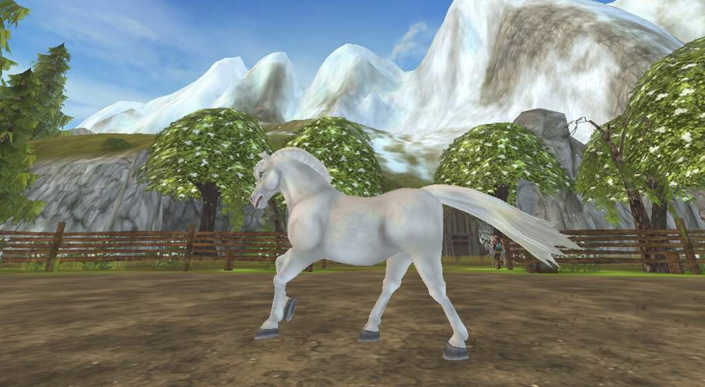 New Fjord Vs Old Fjord | Star Stable Online Amino