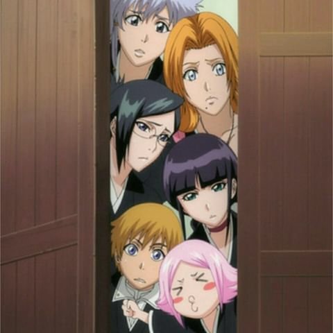 Shinigami Women's Association ♡ | Wiki | Bleach: Shattered Reality Amino