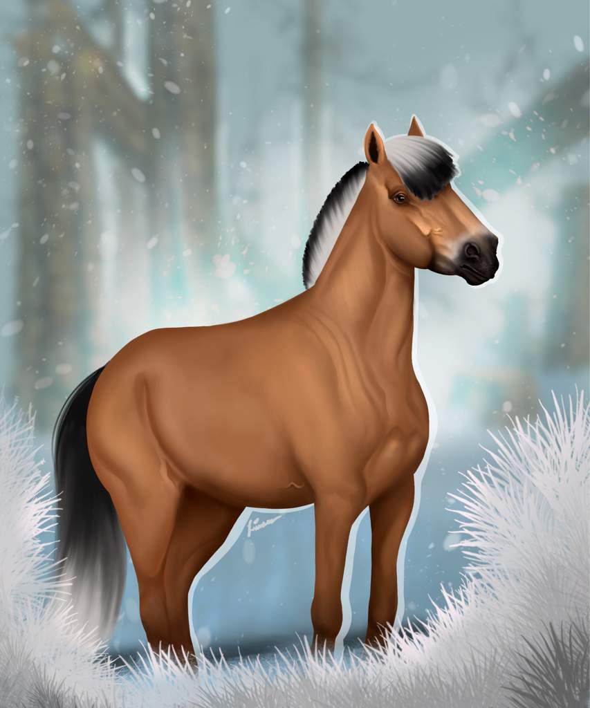 Fjord ️🐴🌨 | Star Stable Online Amino