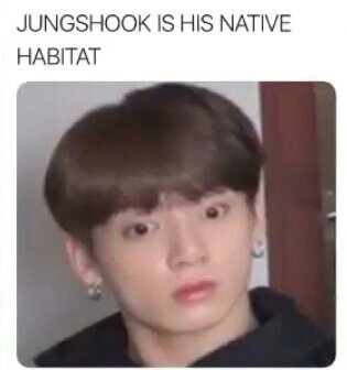 JungshOOk | ARMY MEMES Amino