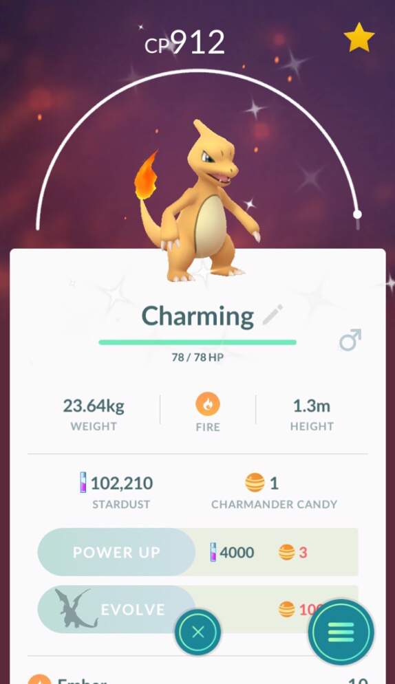 Update about shiny charmander! Pokemon GO Amino